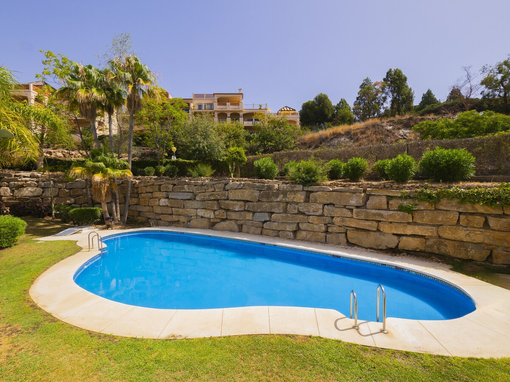 Cubo's Poseidon Room 2 & Pool preview