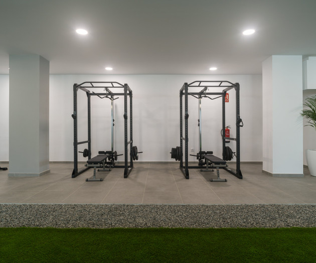 Gym power racks setup