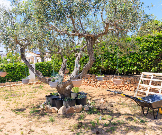 Villa Carmen near Sitges - Pool, A/C,EV&Sea Views