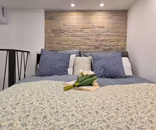 Carina Duplex downtown All-inclusive business Ap.