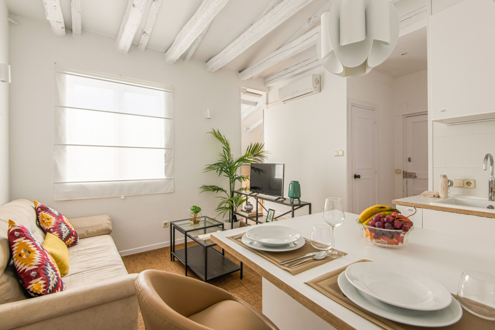 Charming 1 bedroom apartment in Atocha