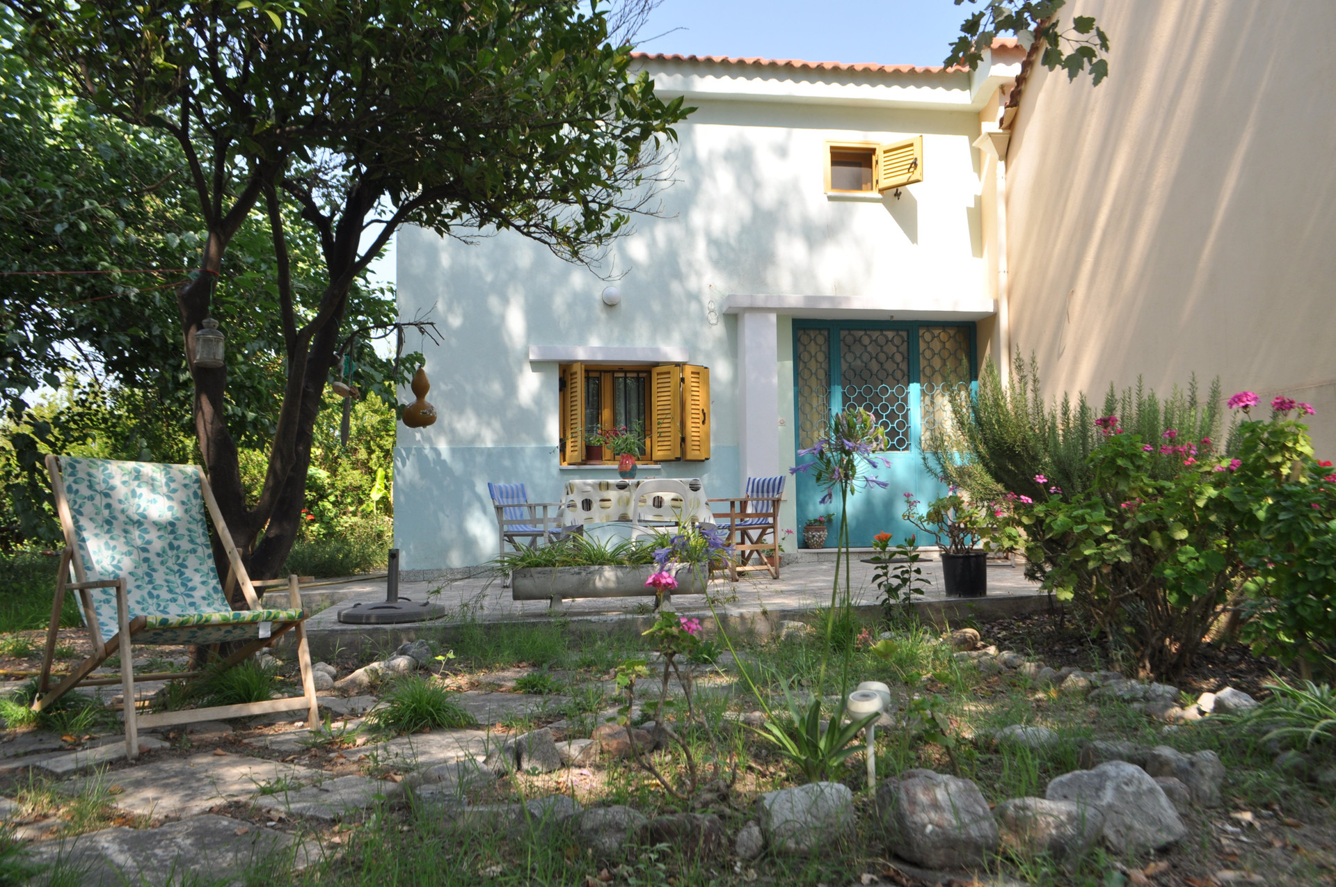 the garden