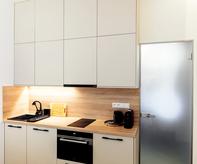 Designer Apartment in the Heart of Brno , 1+kk
