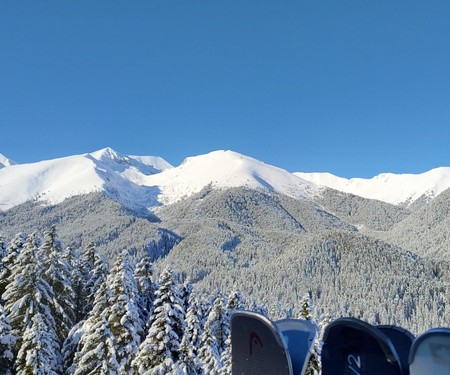 Mountain Delight, Bansko