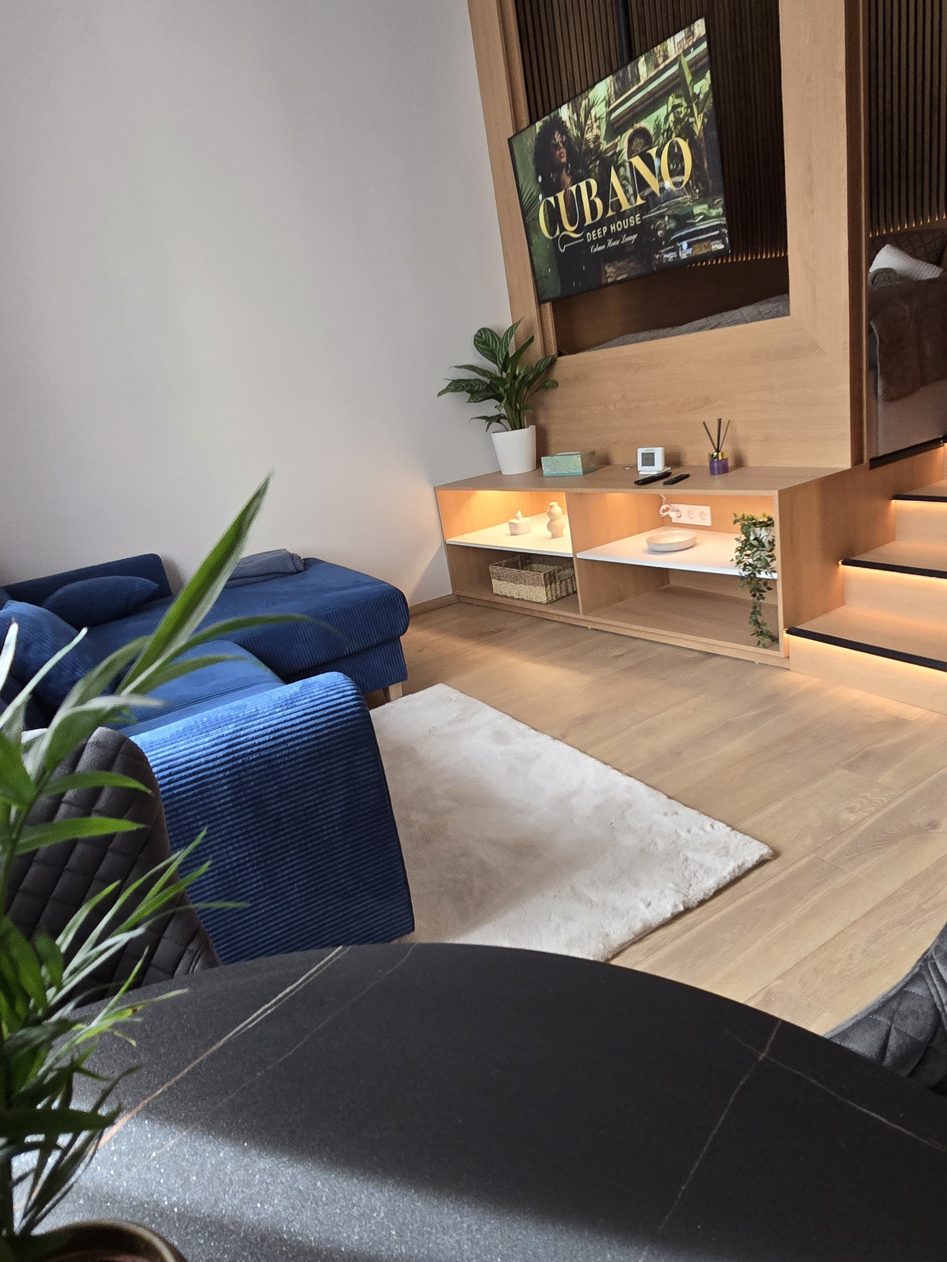 Living area with blue sofa and TV
