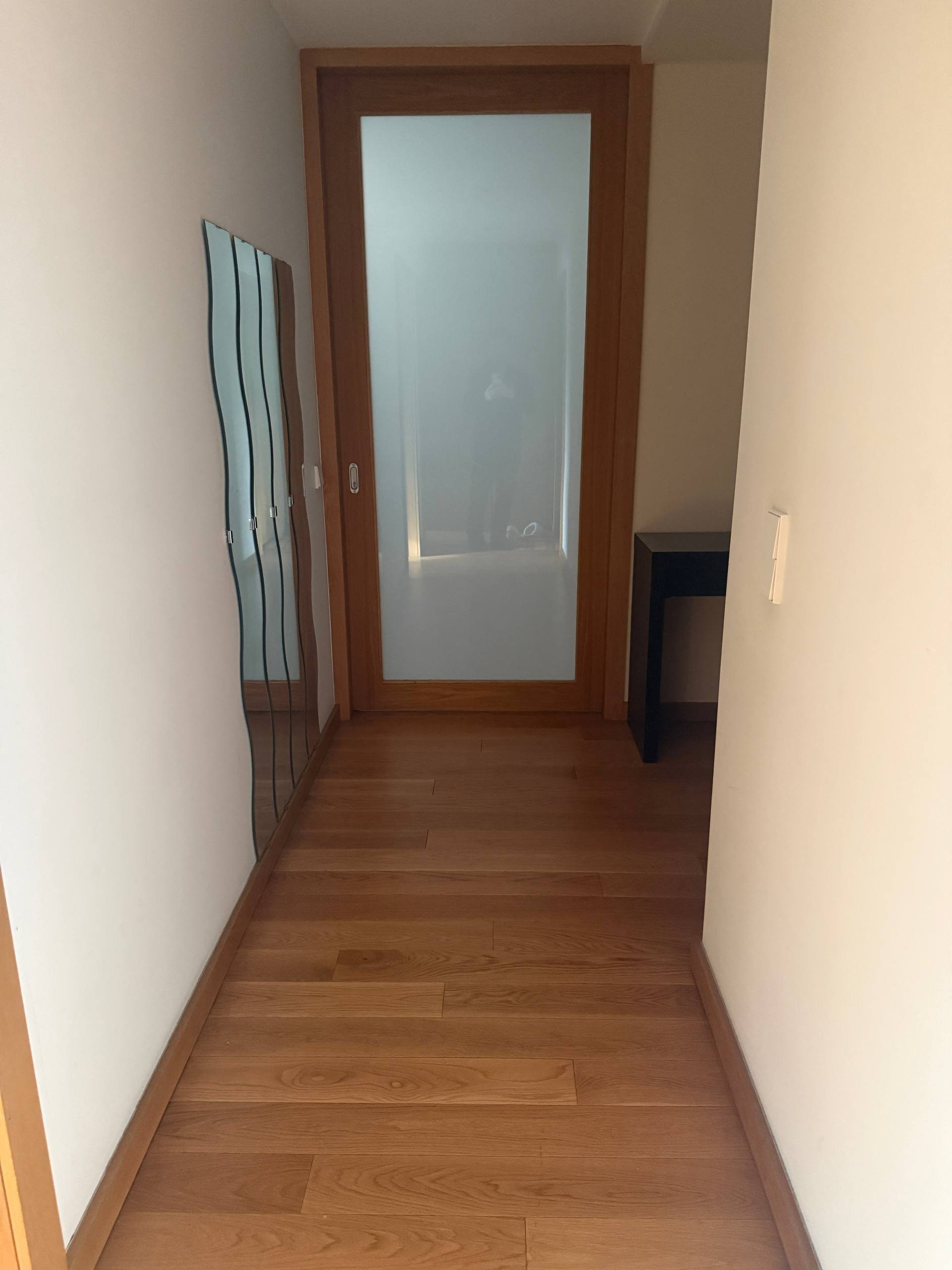 Hallway with frosted glass door
