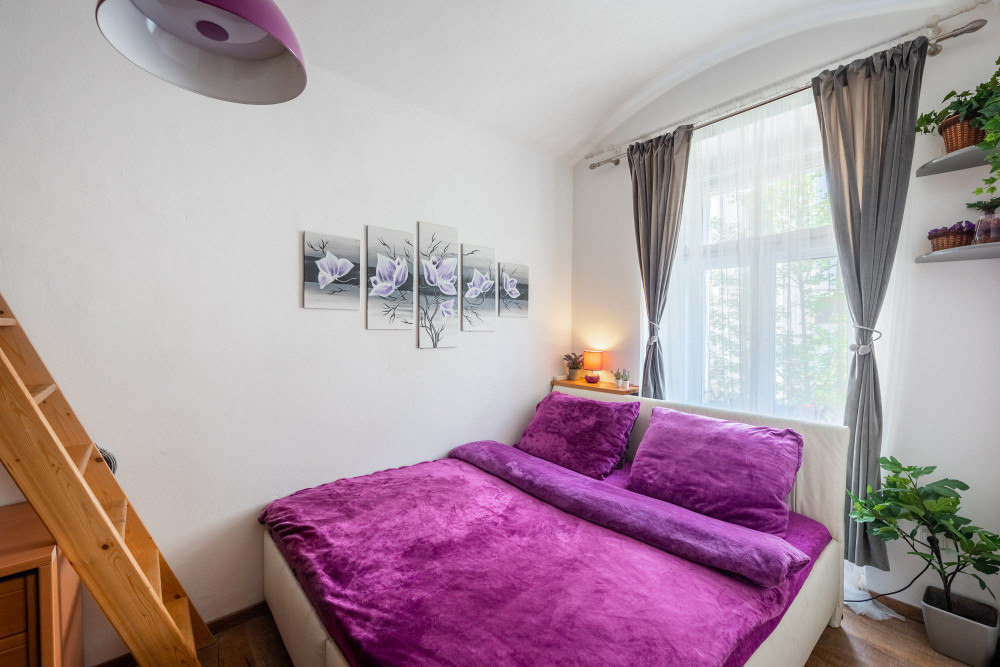 Quiet 1 bedroom flat Zizkov (wifi+Netflix incl)