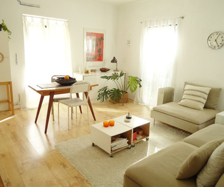 Sunny and comfortable apartment