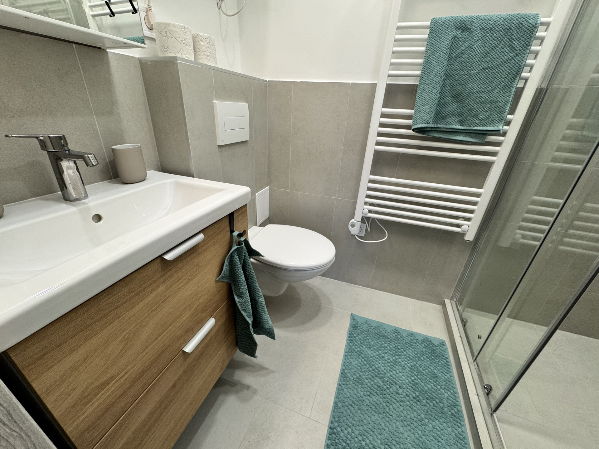 Modern bathroom with shower and toilet