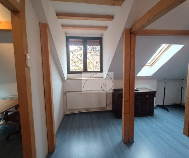 Elegant Duplex in Villa • Central Bucharest