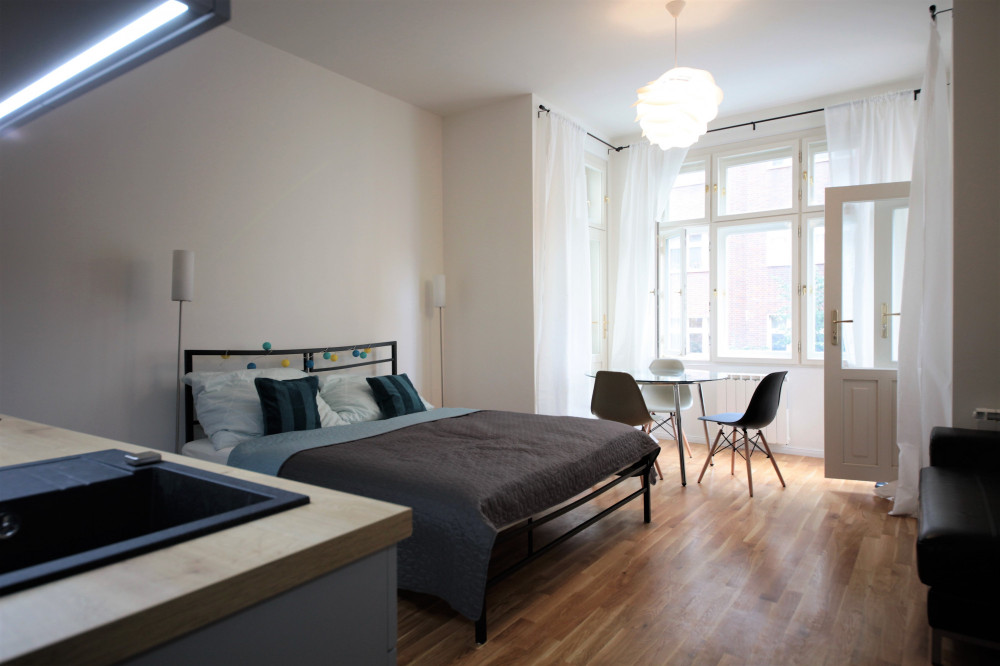 Exceptional, fully furnished apartment, Prague 3 preview