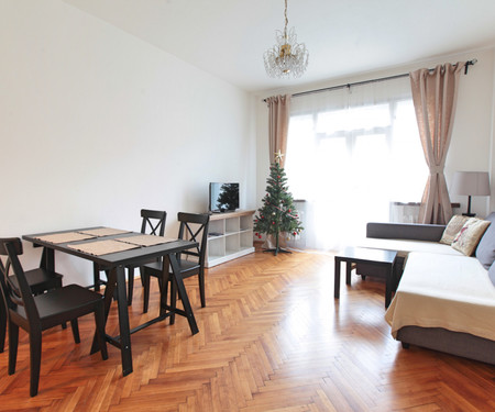 One bedroom apartment, Krakovská, Nové Město