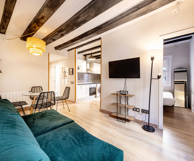 Monthly 2 bedroom flat in Barceloneta-months