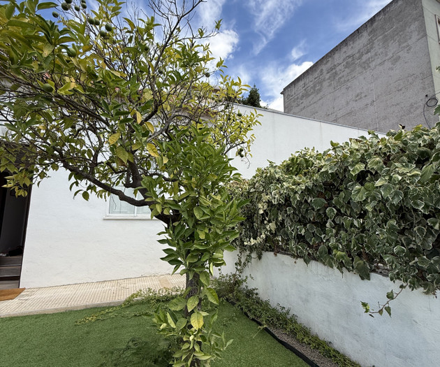 Santarém Orange Tree Cottage - Villa Sol