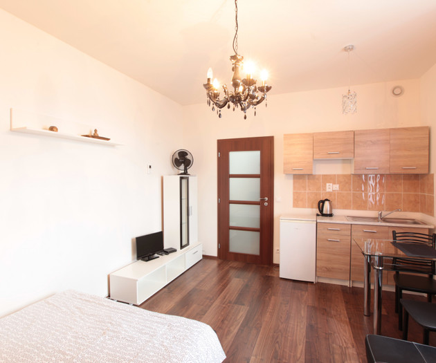 Apartment 1+kk, Prague - Vysočany, Freyova I.