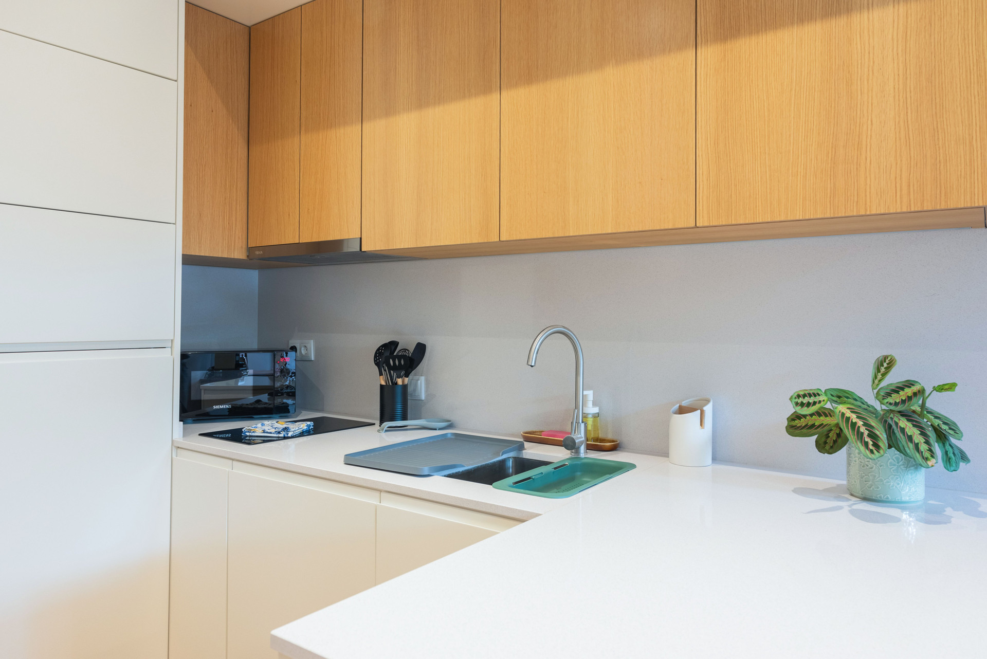 Modern kitchen with wood cabinets