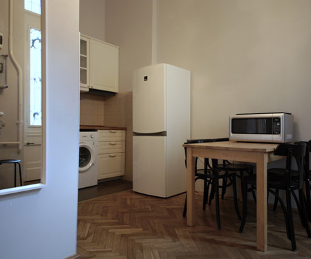 NEWLY RENOVATED, 3 BEDROOM APARTMENT IN THE CENTRE