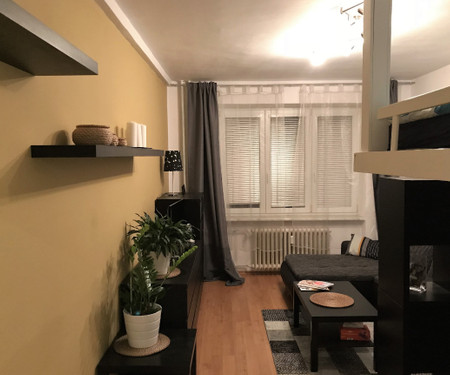 Flat near by centrum and EXPO in Brno