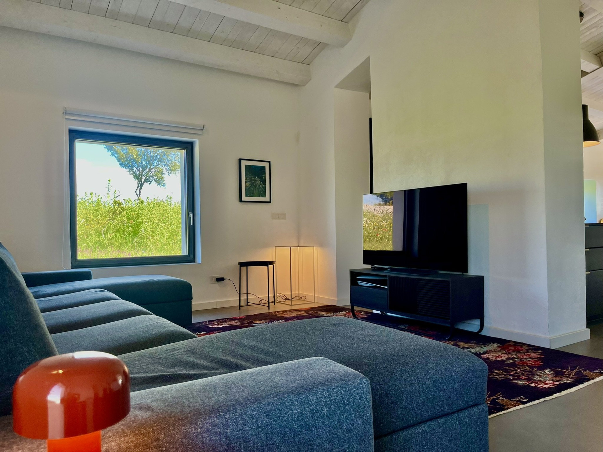 Living room with sofa and TV
