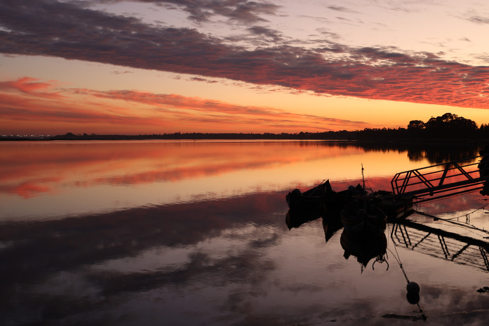 Image #26