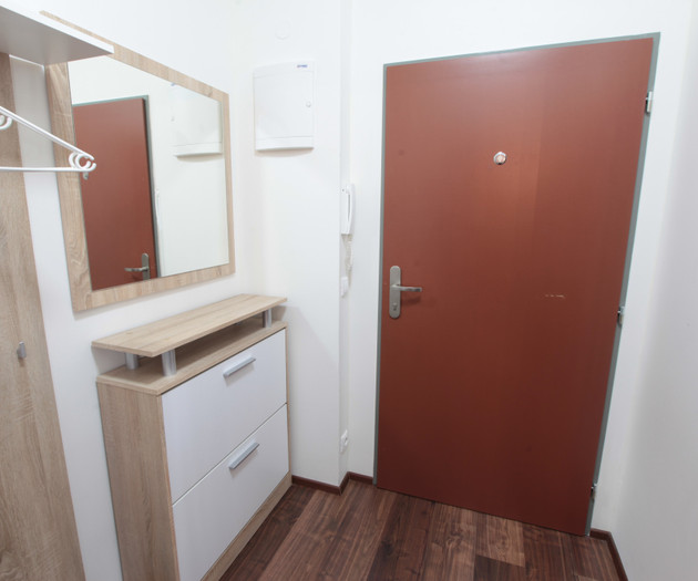 Apartment 1+kk, Prague - Vysočany, Freyova I.