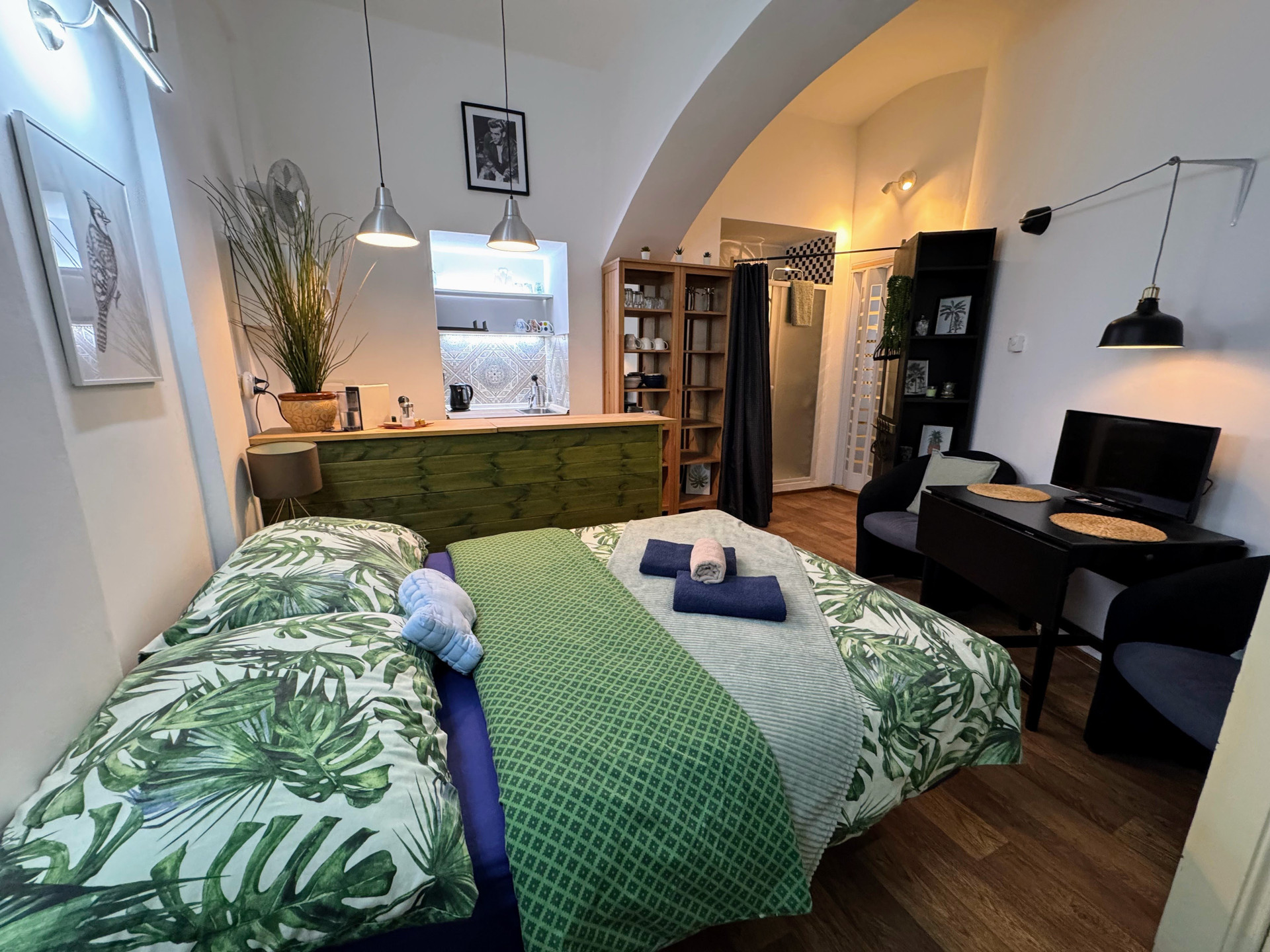 Studio interior with bed and kitchen