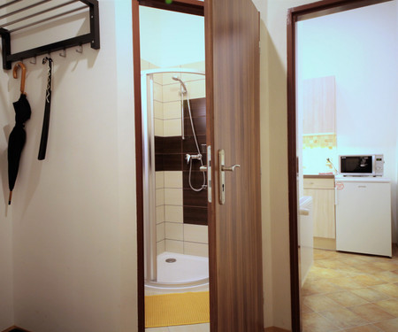 Newly renovated apartment 1+1 in Letná district