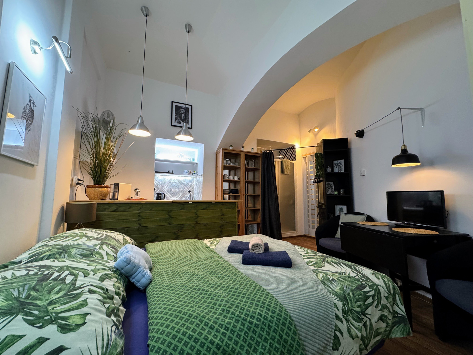 Studio bed with arched ceiling