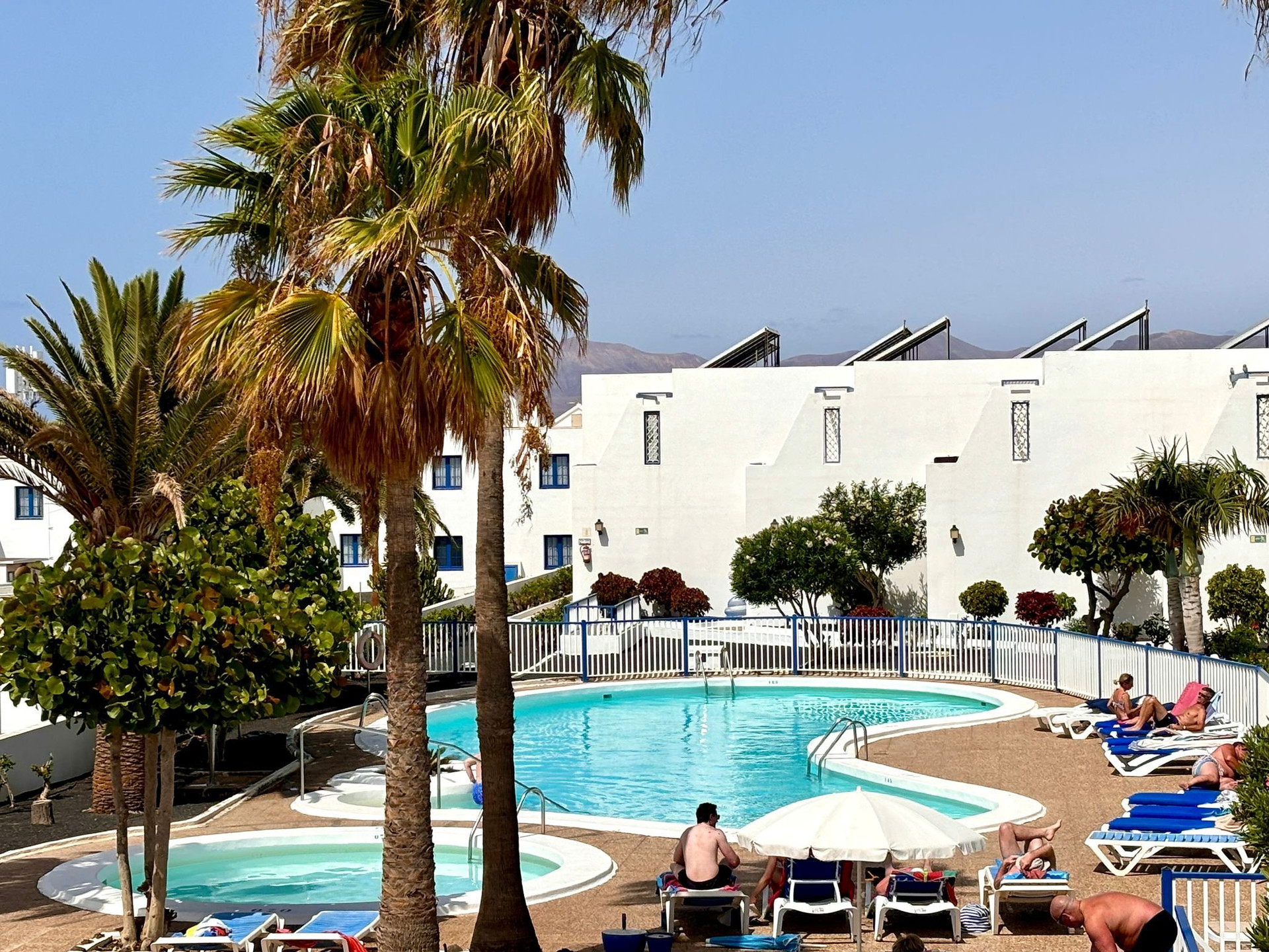 Communal pool with palm trees