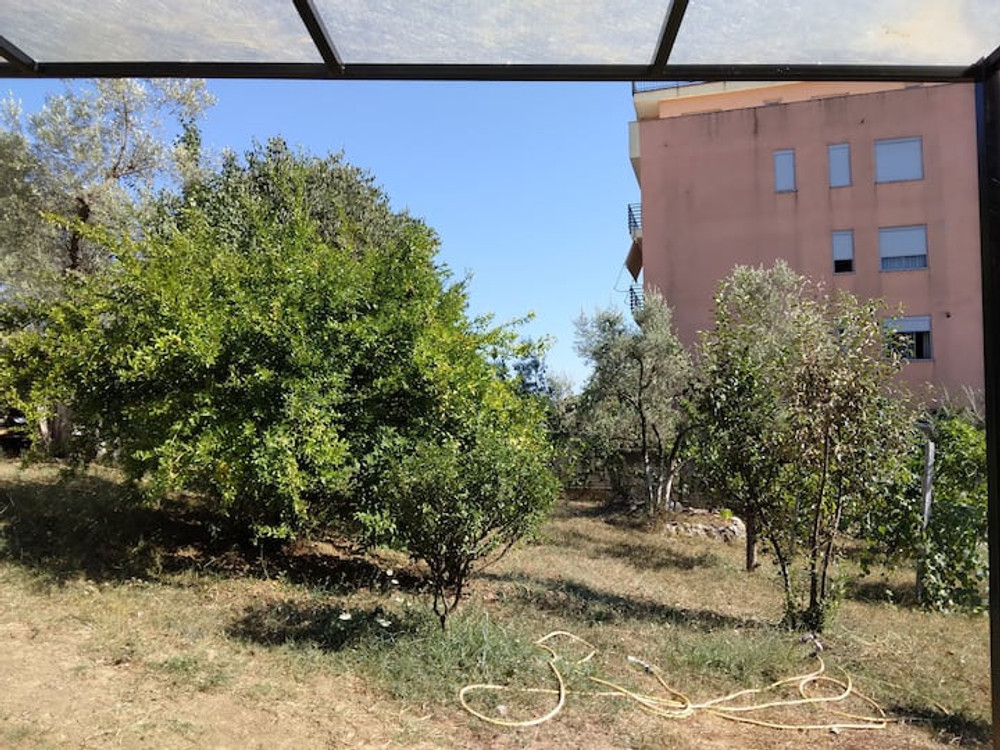 Image #56