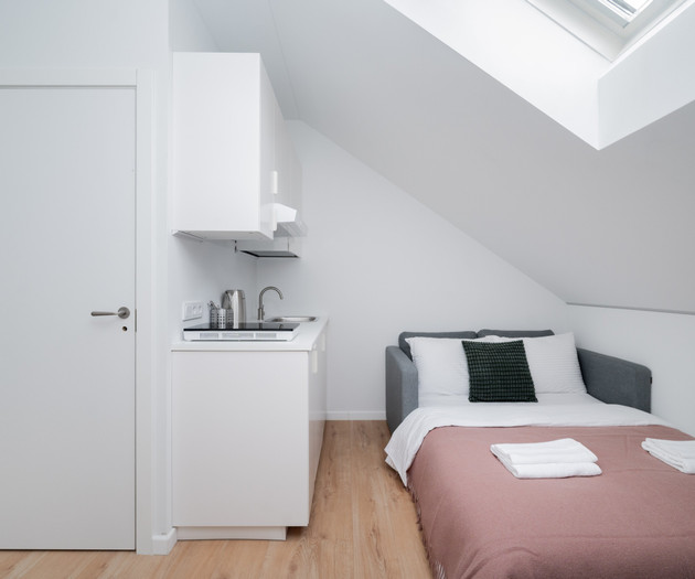 Bedroom with kitchenette and skylight