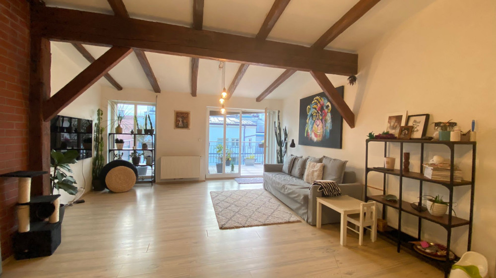 Amazing  attic with 30m2 Terrace between parks preview