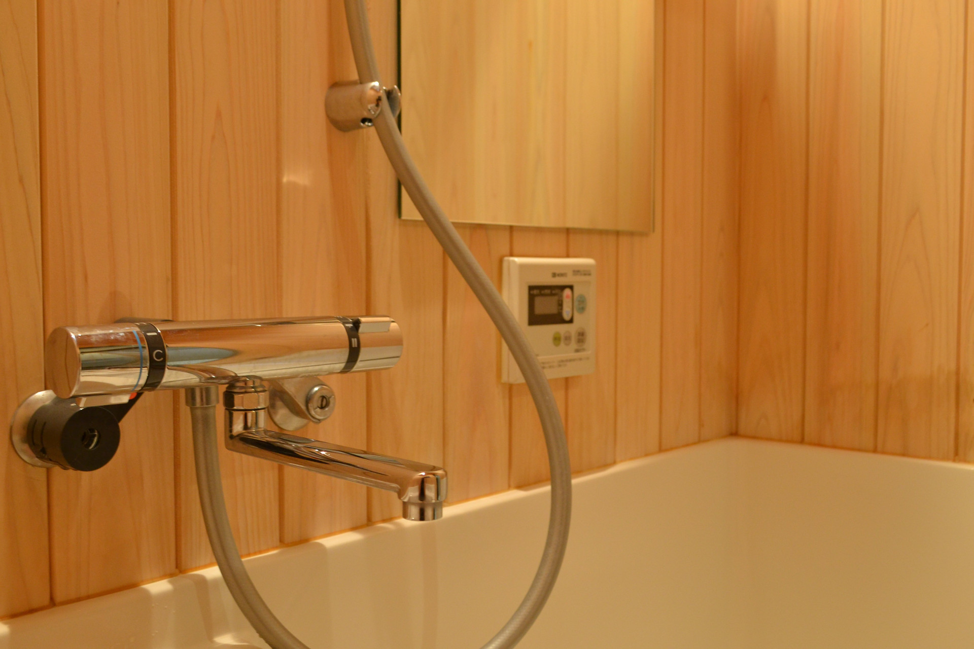 Bathroom shower and bathtub
