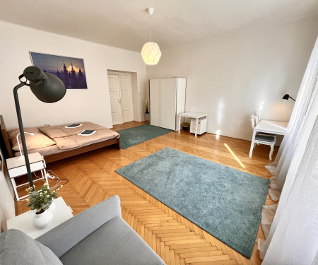 Flat for rent - Prague 1