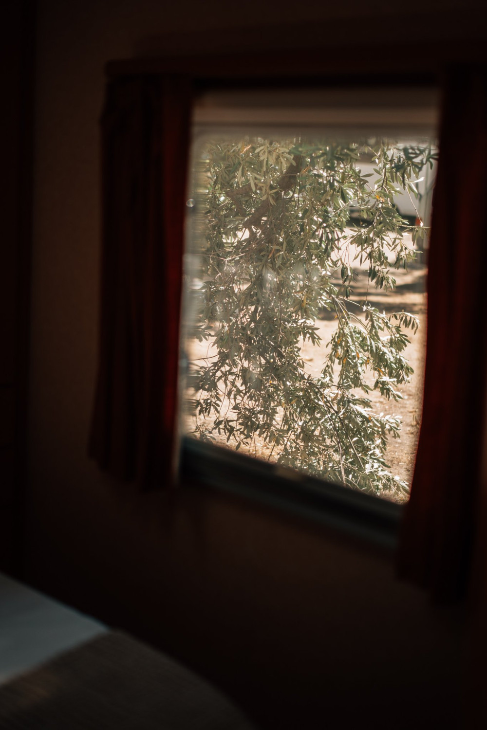 Image #17