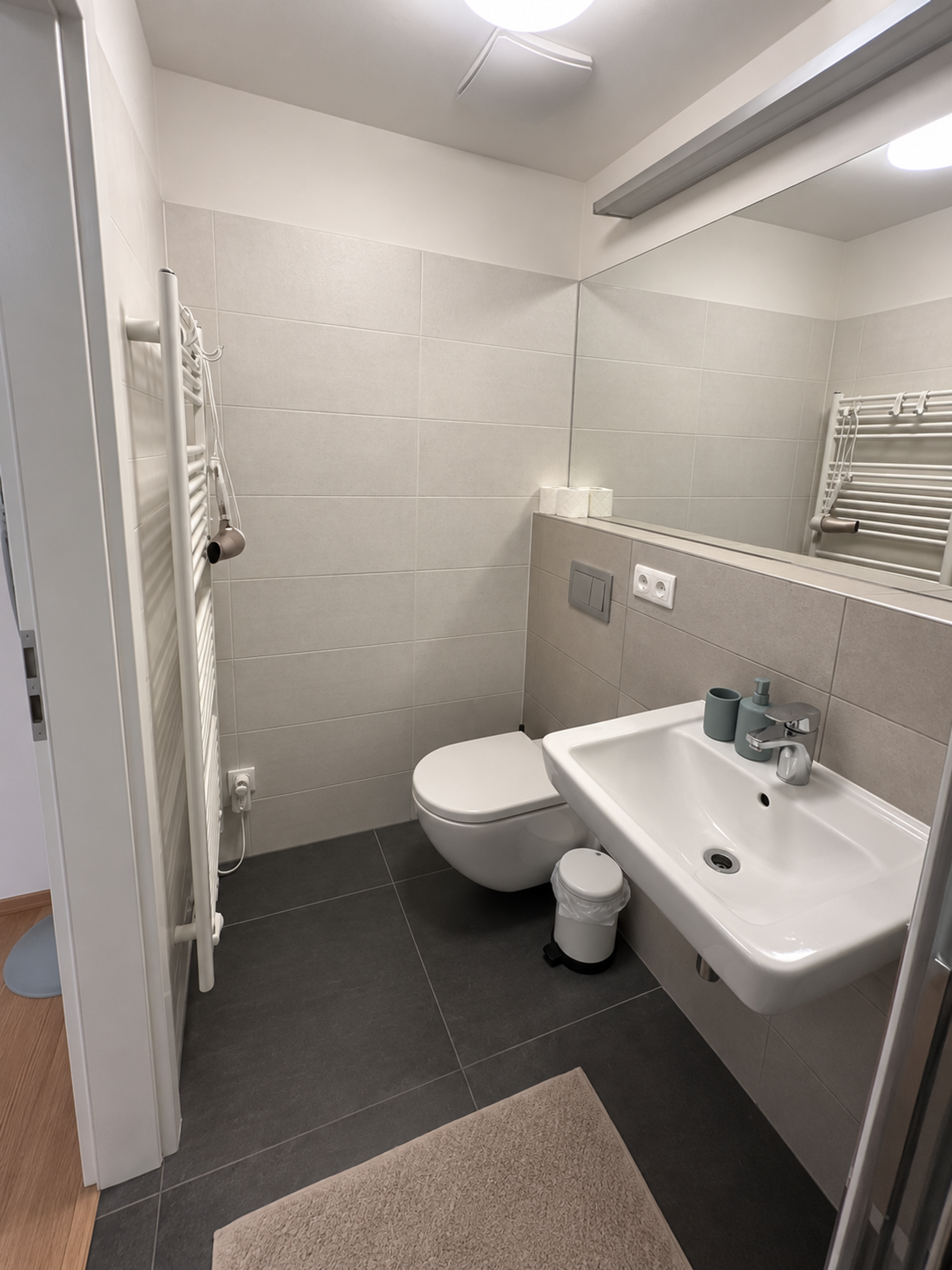 Toilet and sink area