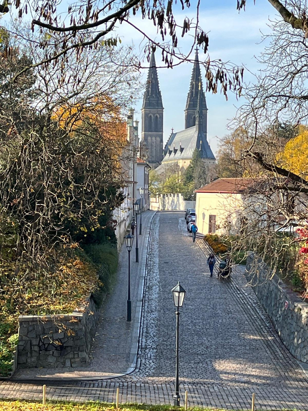 Image #12