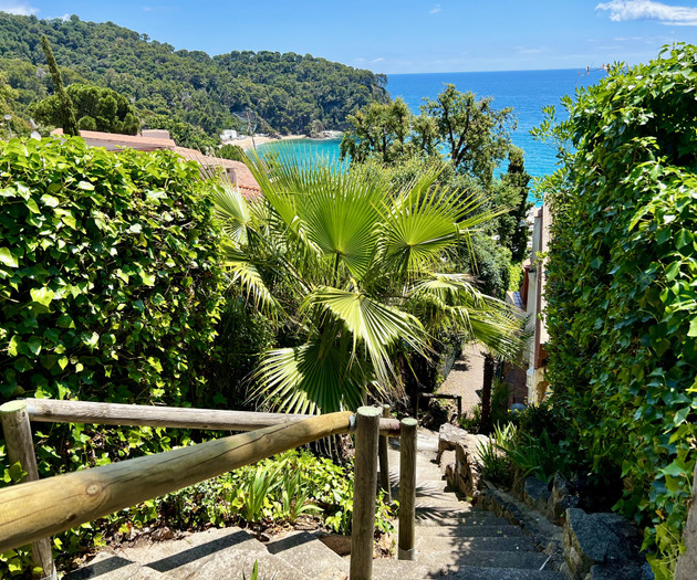 Wake up to the sea, Cala Canyelles · Costa Brava
