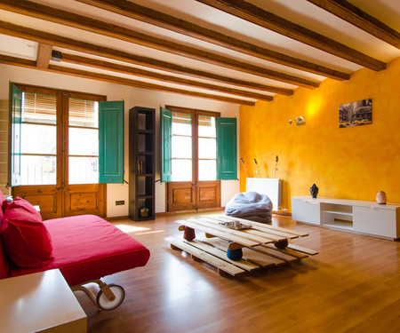 Nice loft of 100m2 in open space, bright, equipped