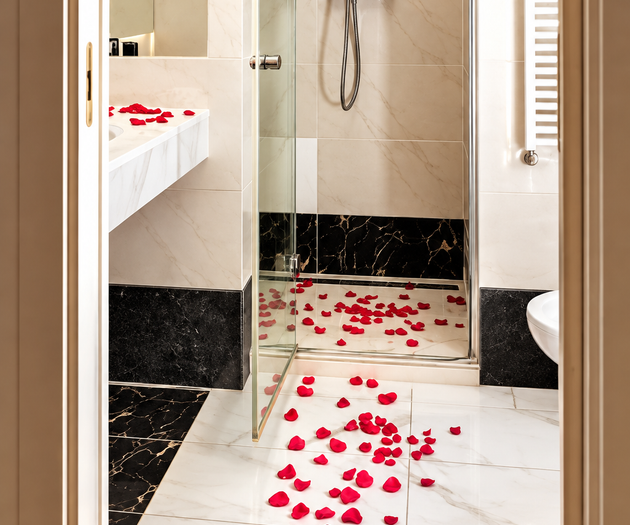 Hound Deluxe Suite | Historic Vysehrad Luxury