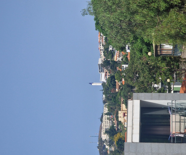 Rooftop view of city street