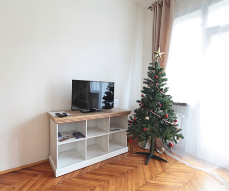 One bedroom apartment, Krakovská, Nové Město