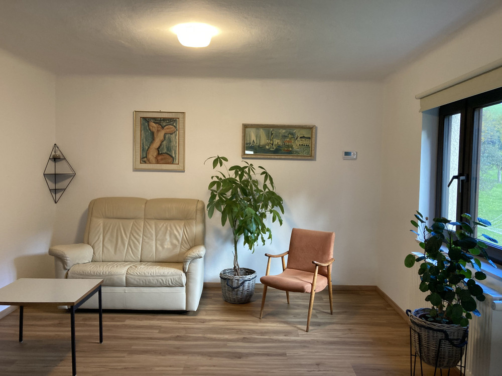 Cozy flat in nature, not far from Ljubljana preview