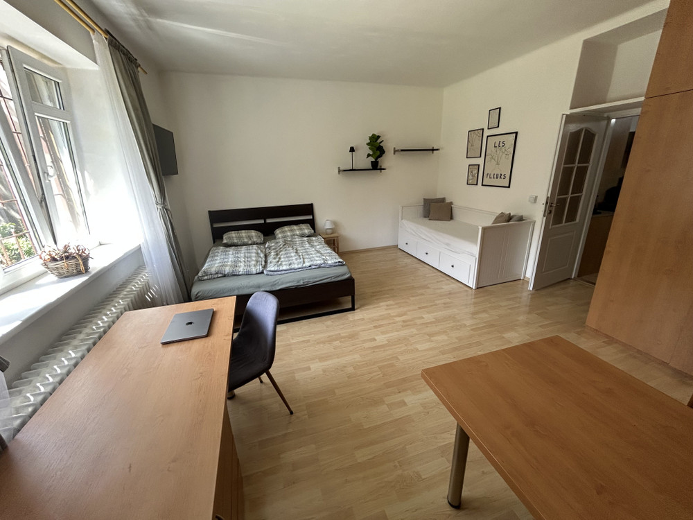 Spacious and bright apartment near Vyšehrad preview
