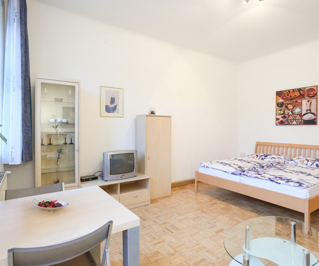 Friendly and bright single room apartment