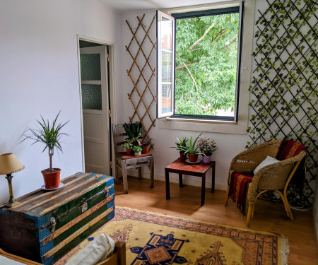 One Bedroom in historic center