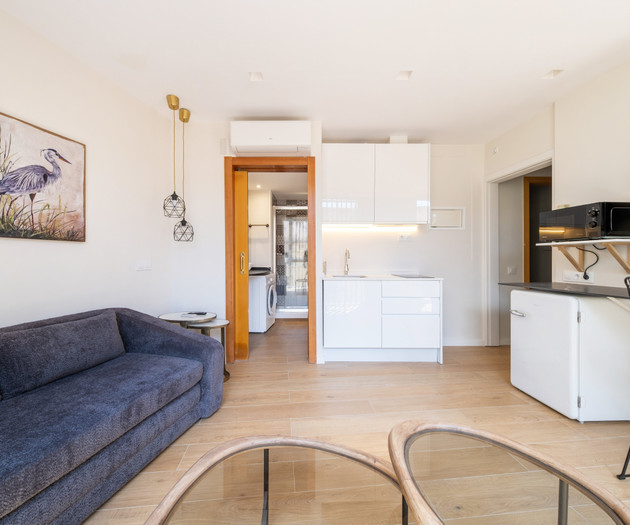 Confy attic with terrace 1 bedroom right in Born