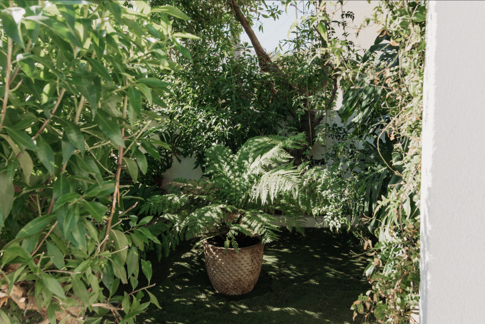 Peaceful and Bright room near nature