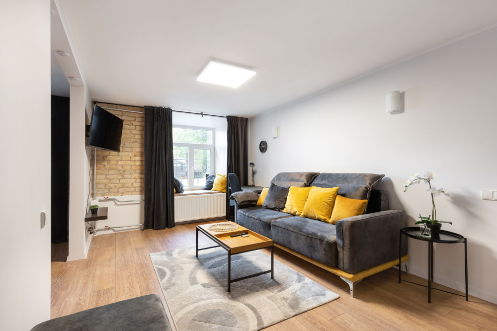 Newly Refurbished Lukiskiu Square Apartment preview