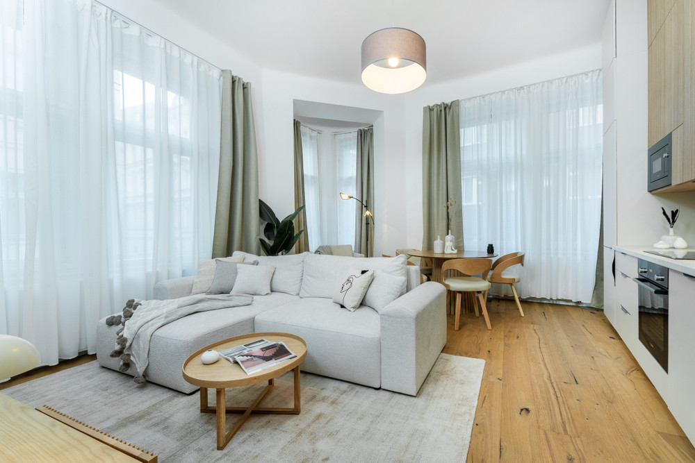 NEW Modern Central located APT *Netflix preview